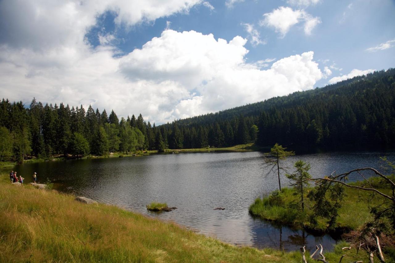 Waldhotel Seebachschleife Bayerisch Eisenstein Esterno foto